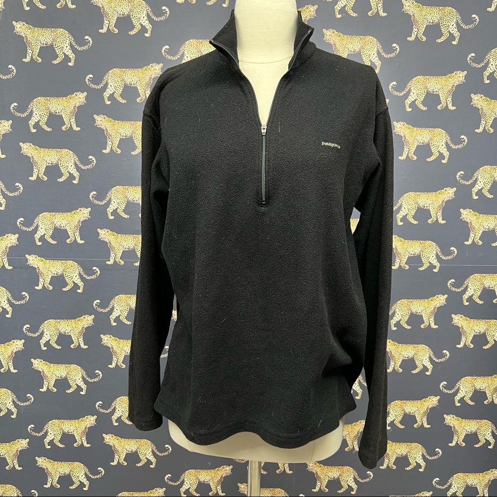 Patagonia Capilene Fleece Pullover